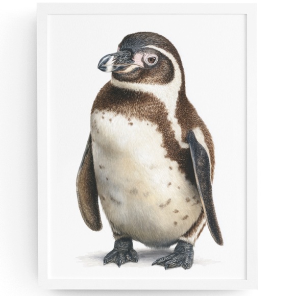 Watercolor Humboldt Penguin Wall Art Print, Unframed - Charming Coastal Elegance - Picture 1 of 7